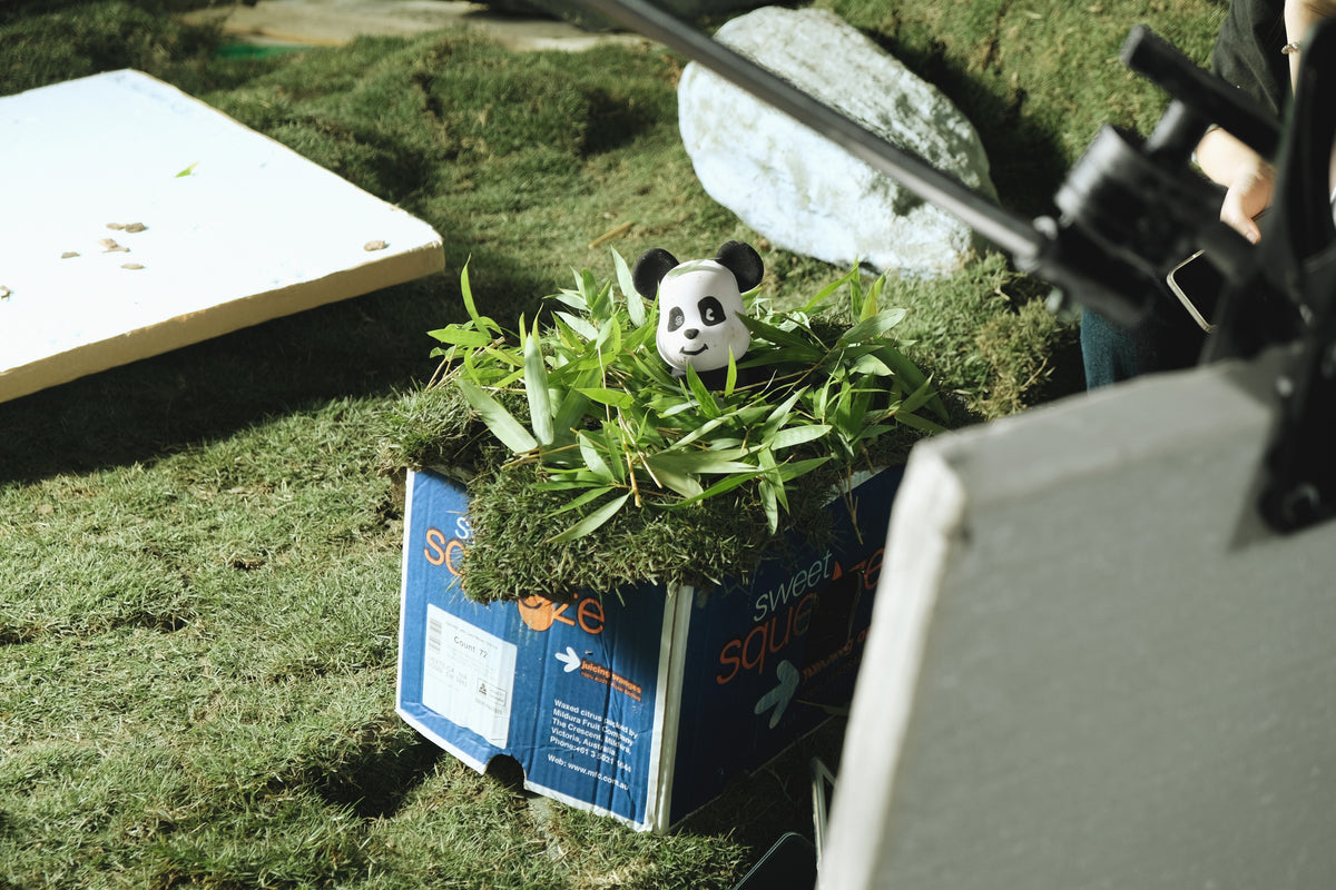 A behind-the-scene look at Ning Ning's CLOT Panda documentary