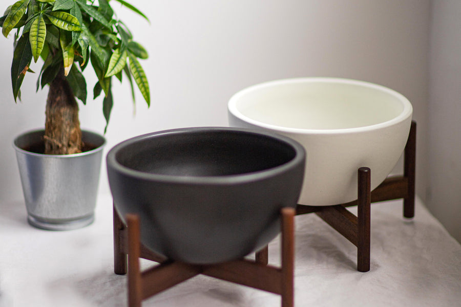 Modernica Case Study® Ceramic Pots and Stoneware For The Plant-Obsessed!