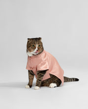 Pet Chinese Shirt (Pink)