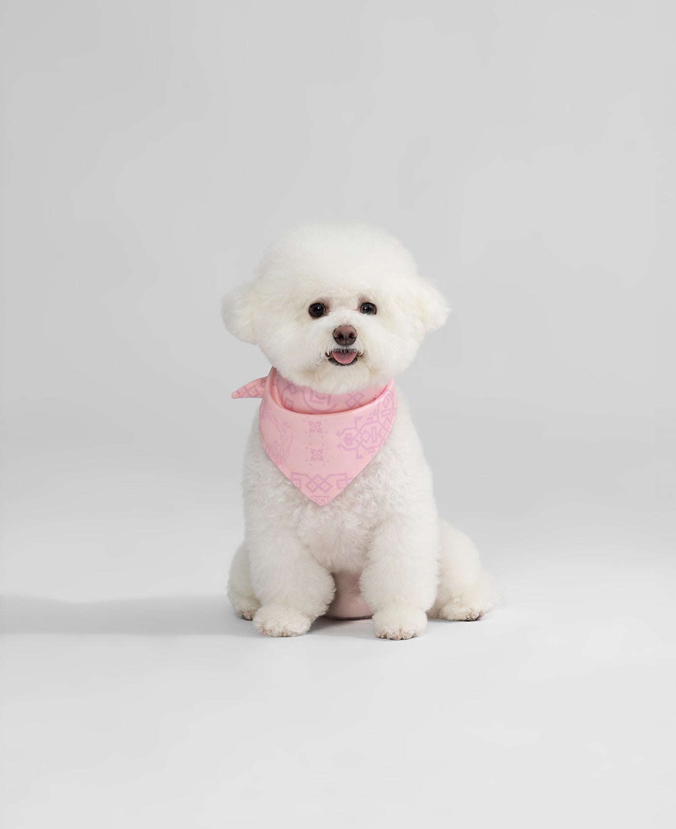 Pet Triangle Scarf (Pink)