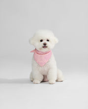 Pet Triangle Scarf (Pink)