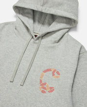 Snake Print Hoodie (Grey)