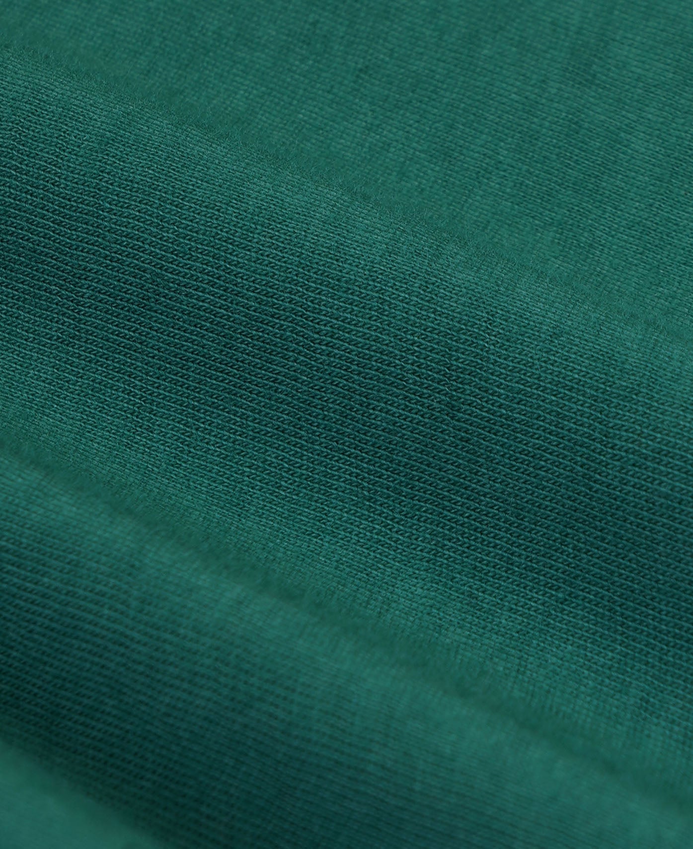 Health Is Wealth Crewneck (Green)