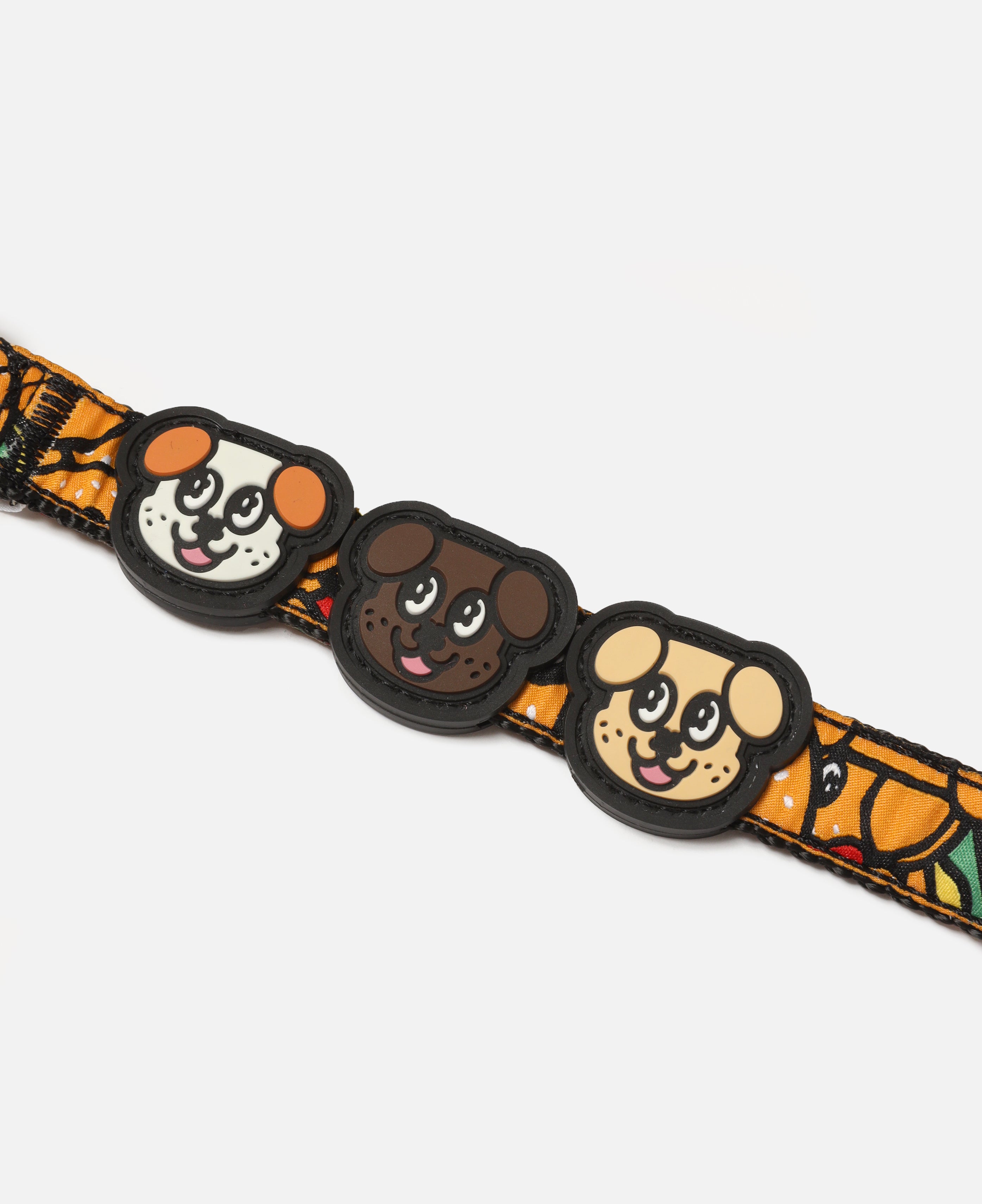 Dog Leash (Orange)