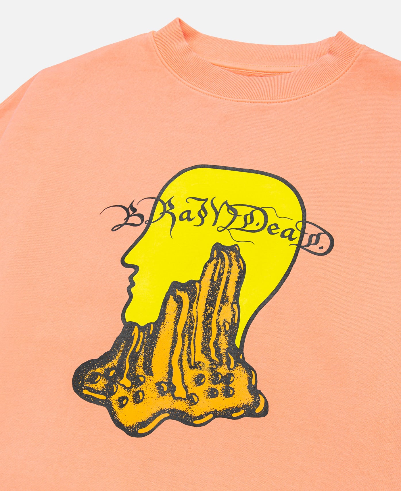 Mount Slime Crewneck (Peach)